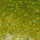Rocailles transparent frühlings-grün, Inhalt 100 g, Größe 8/0, discount