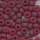Rocailles matt rubin-rot