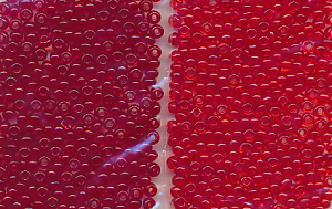 Rocailles Ton in Ton, rot transparent, Inhalt 16 g, Größe 8/0