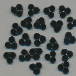 Glas-Perlen jet-schwarz, Inhalt 20 St&uuml;ck, antik, 2-Loch, Gr&ouml;&szlig;e 8 mm