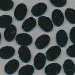 Glas-Perlen jet-schwarz, Inhalt 21 St&uuml;ck, antik, Gr&ouml;&szlig;e 12 x 9 mm
